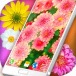 hd summer live wallpaper android application logo